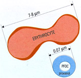 Структура сырья для космецевтики Низафтэм: сравнение размеров частиц